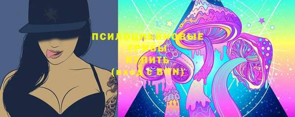 mix Богородицк