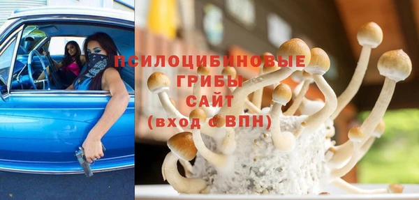соль курить ск Богданович